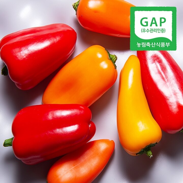 [웰굿][GAP인증] 산지직송 진주 신선한 미니 파프리카 1kg(500gX2팩)