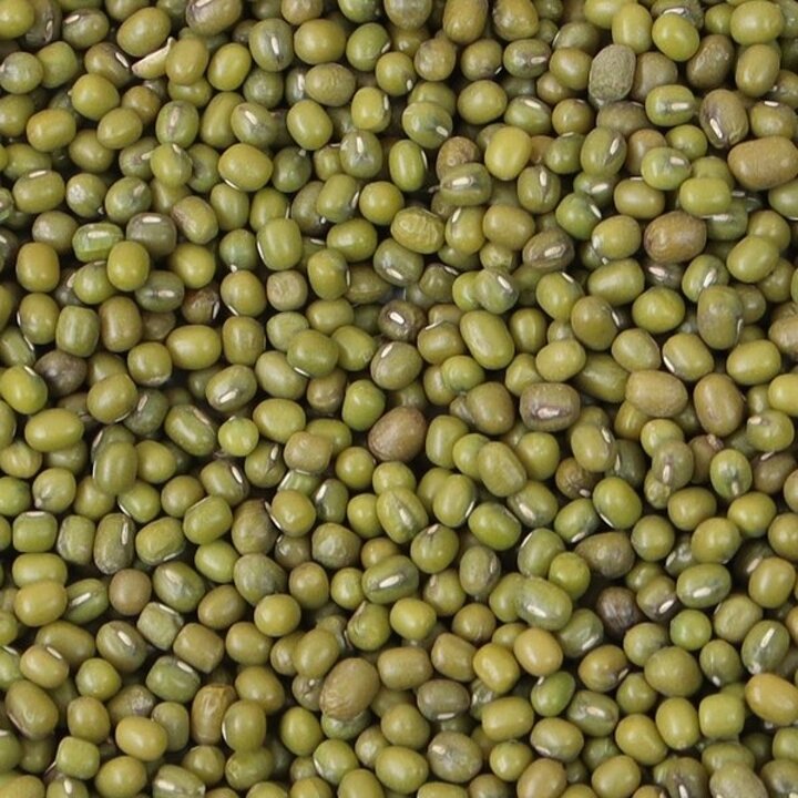 수입 녹두 통녹두 2kg / 2세트(4kg) 구매시 사은품 증정