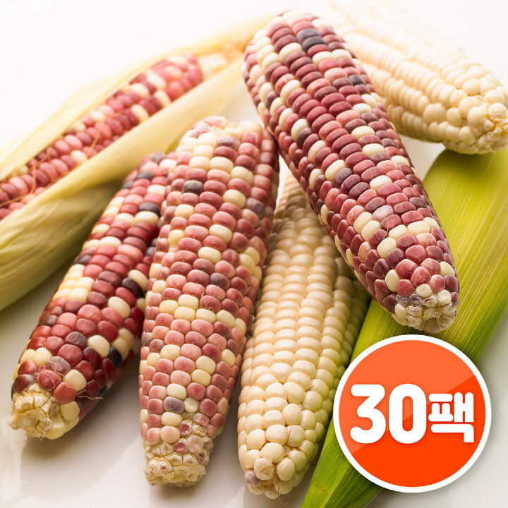맛있는 알록달록 삶은 찰옥수수 30개