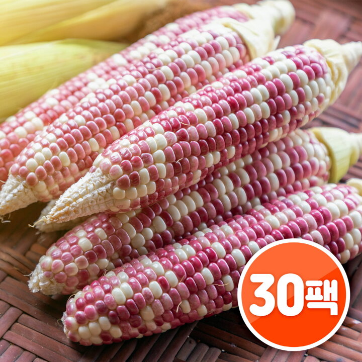 맛있는 알록달록 삶은 찰옥수수 30개