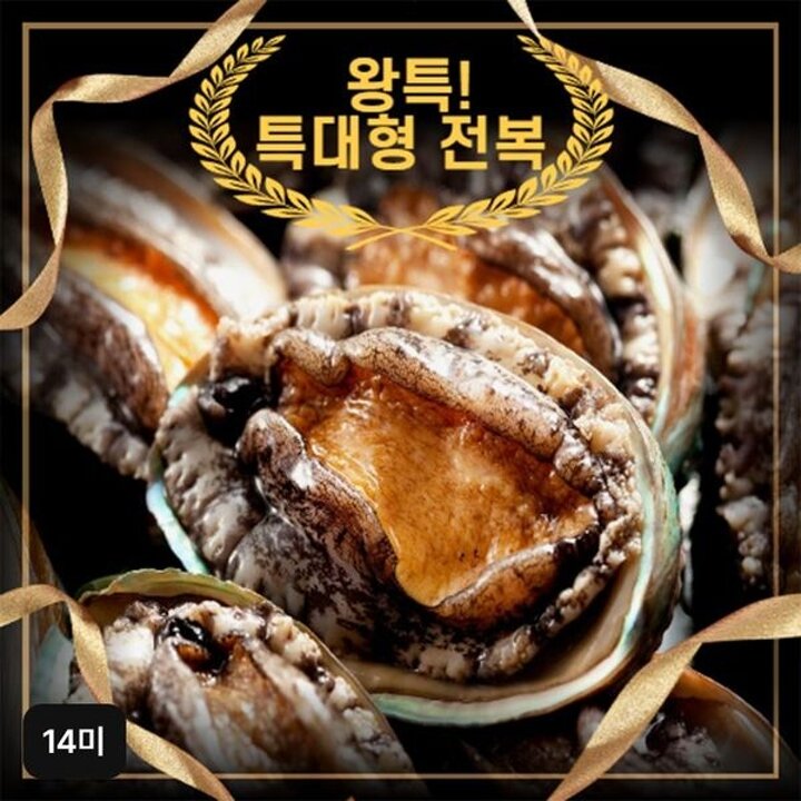 완도활전복 왕특특대 14미 (106 120g)[34445225]