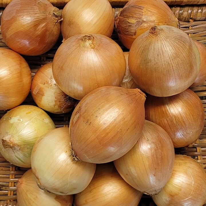 국내산 햇양파 3kg 특상