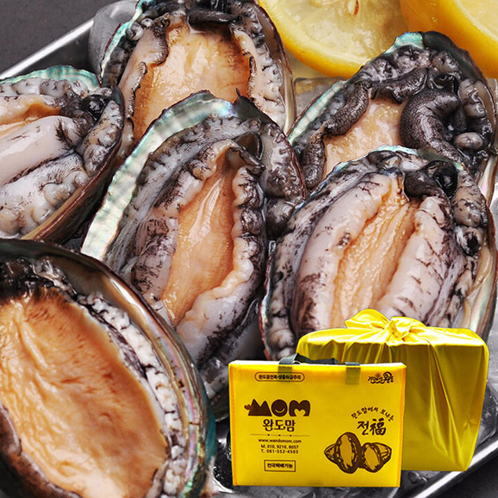 완도직송 활전복 선물세트 1kg 특대복 (7-9미)/보자기포장