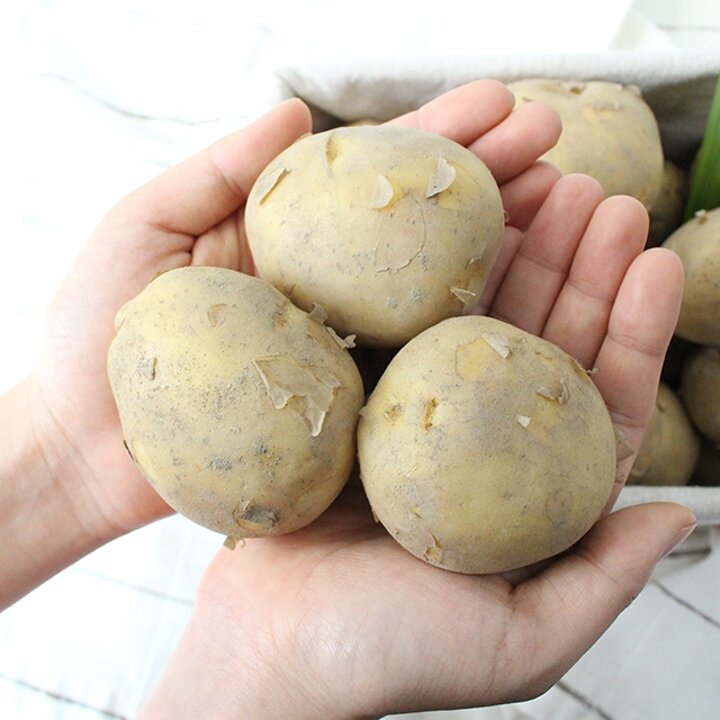 [팔도농장] 26년 햇 수확 수미감자(대) 5kg