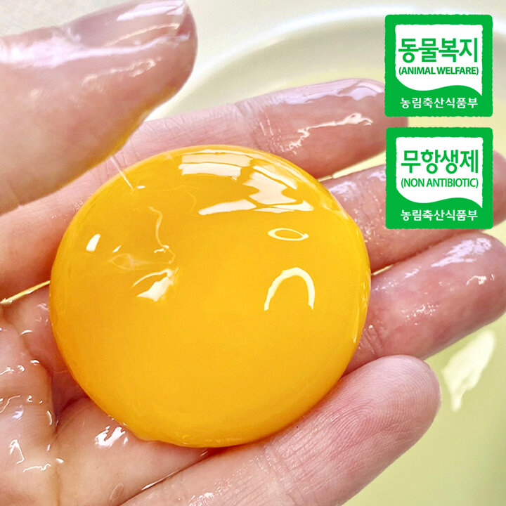 [프레그] 에어캡 포장, 산지직송 동물생태학 홍유신이 생산한 동물복지 유정란 40구