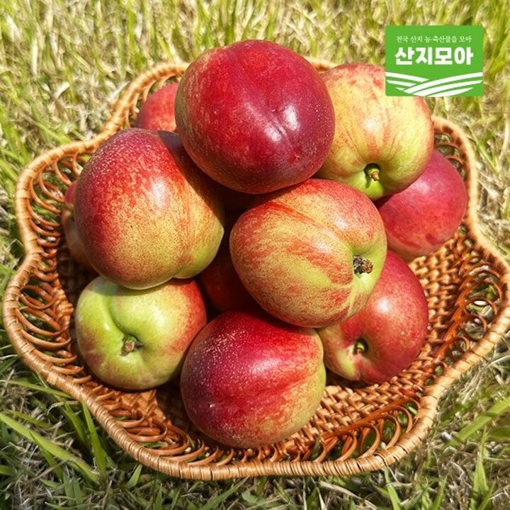 [초여름한정] 특품 신비복숭아 2kg 중대과(19-24과 내외)