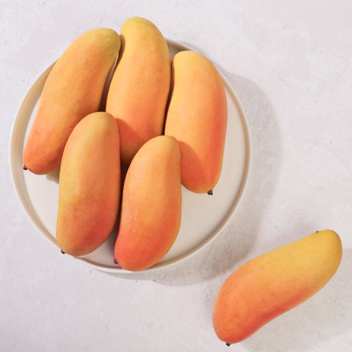 [스윗베러] 마하차녹 무지개망고 5kg 14-16과