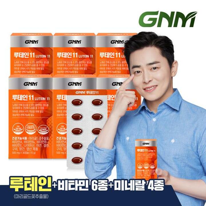 GNM 루테인11 6박스 / 비타민 6종 + 미네랄 4종 눈건강 비타민B 아연 엽산