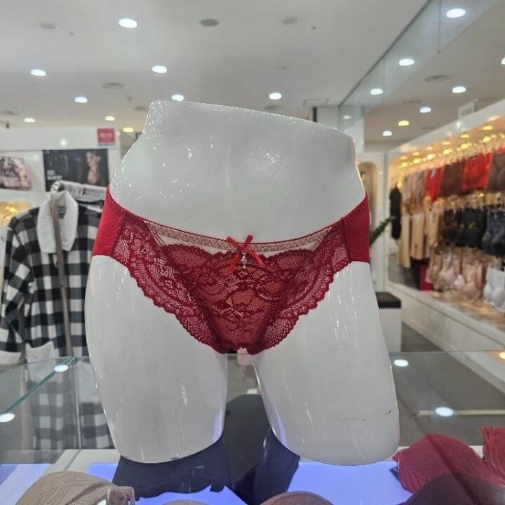 솔브sh06더그레이스헴팬티더그레이스헴팬티SPTD557H