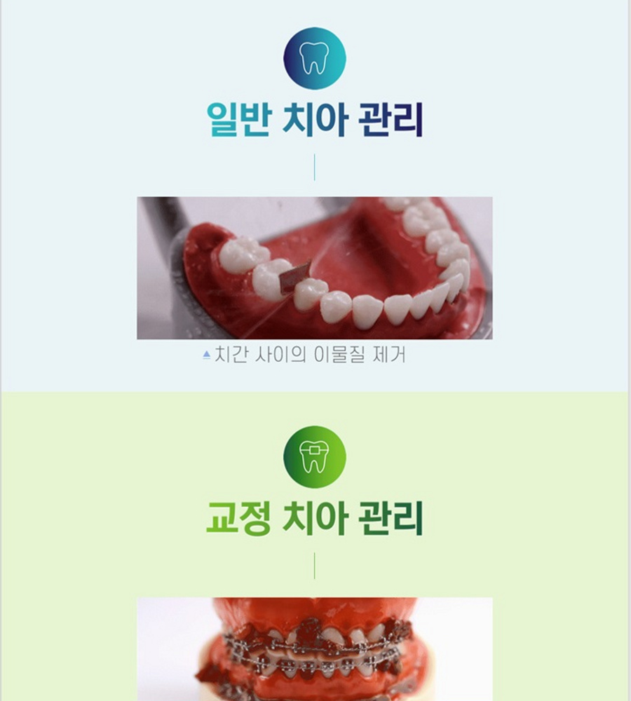 [국민카드5%할인][방송에서만 이구성이가격] 파나소닉 제트워셔 휴대용 구강세정기 1+1 (DJ11)